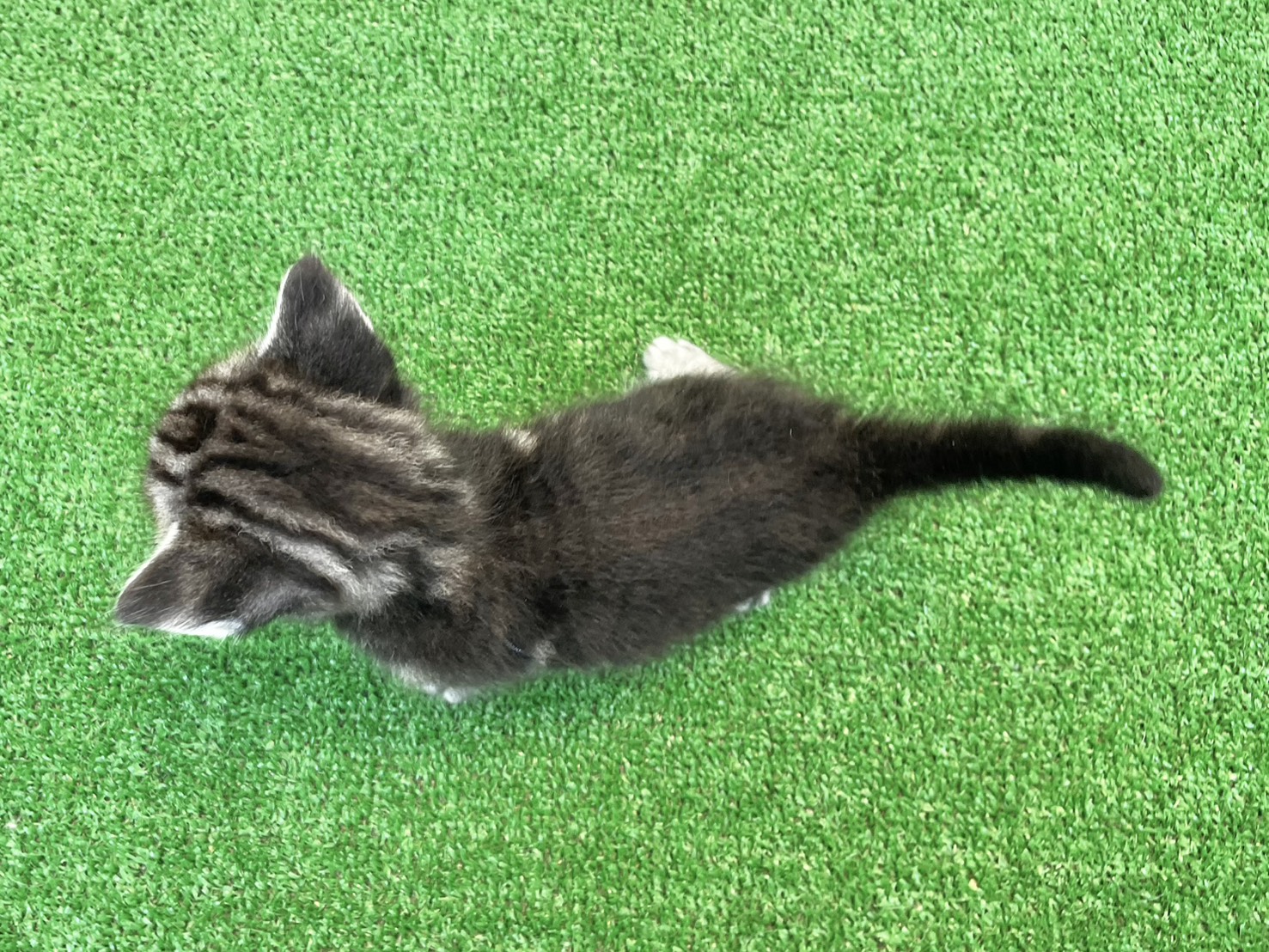 赤ちゃん写真2-3