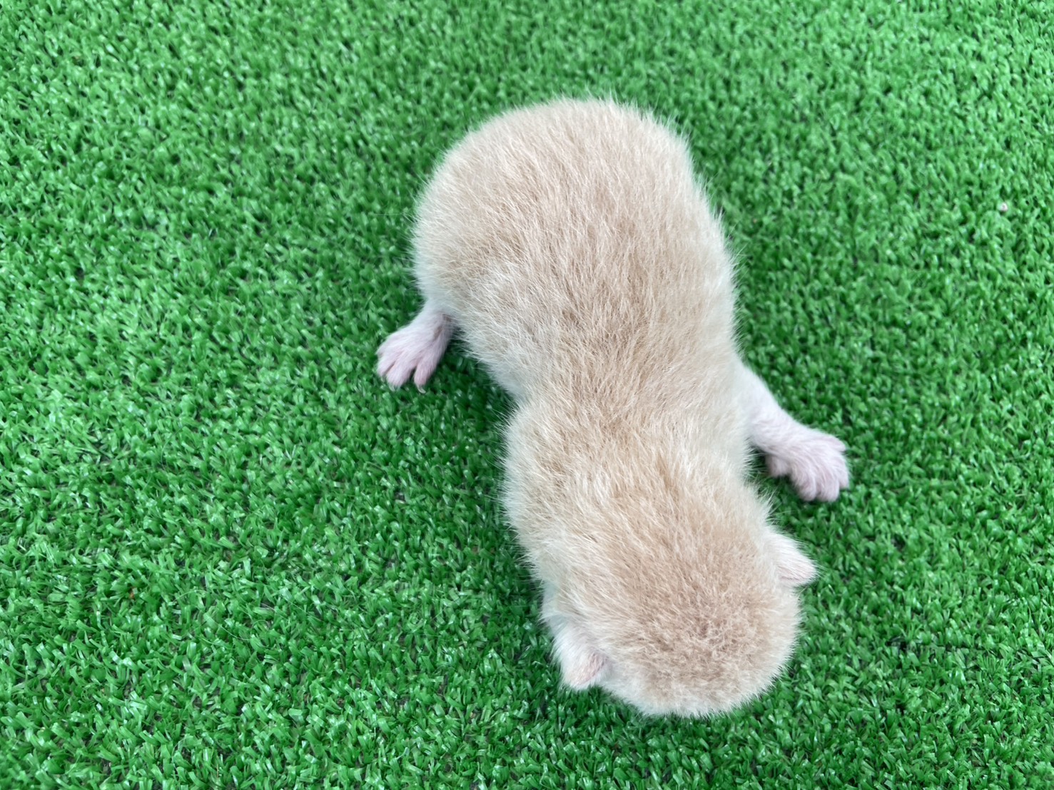 赤ちゃん写真1-3