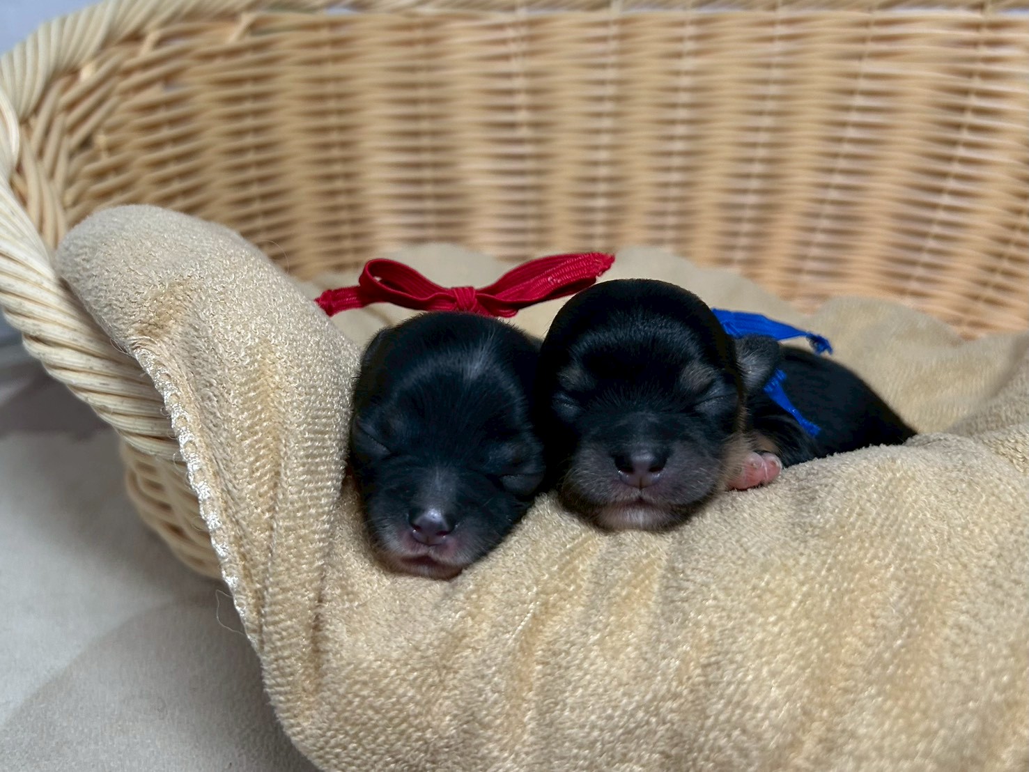 赤ちゃん写真1-3