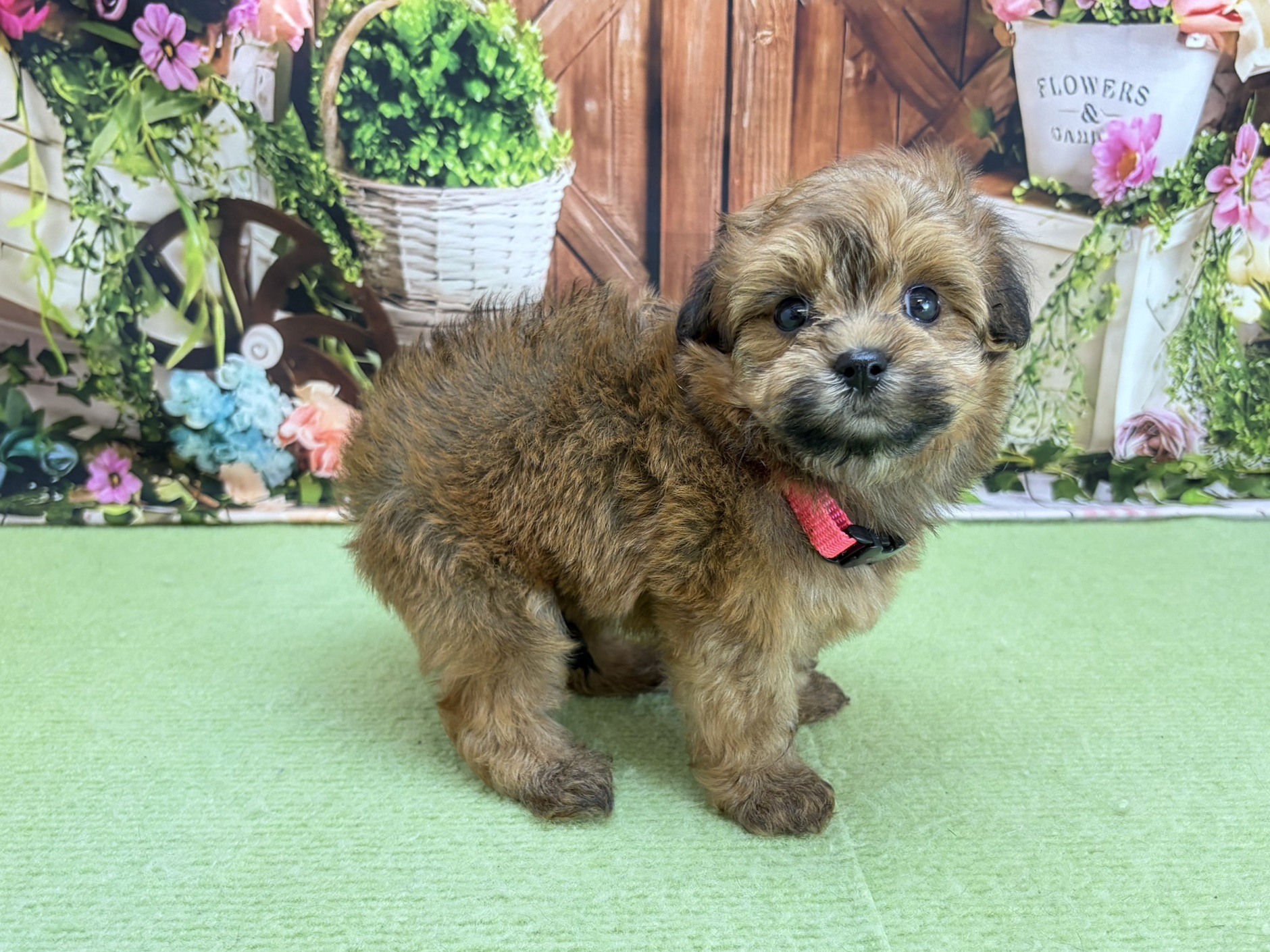 赤ちゃん写真3-2