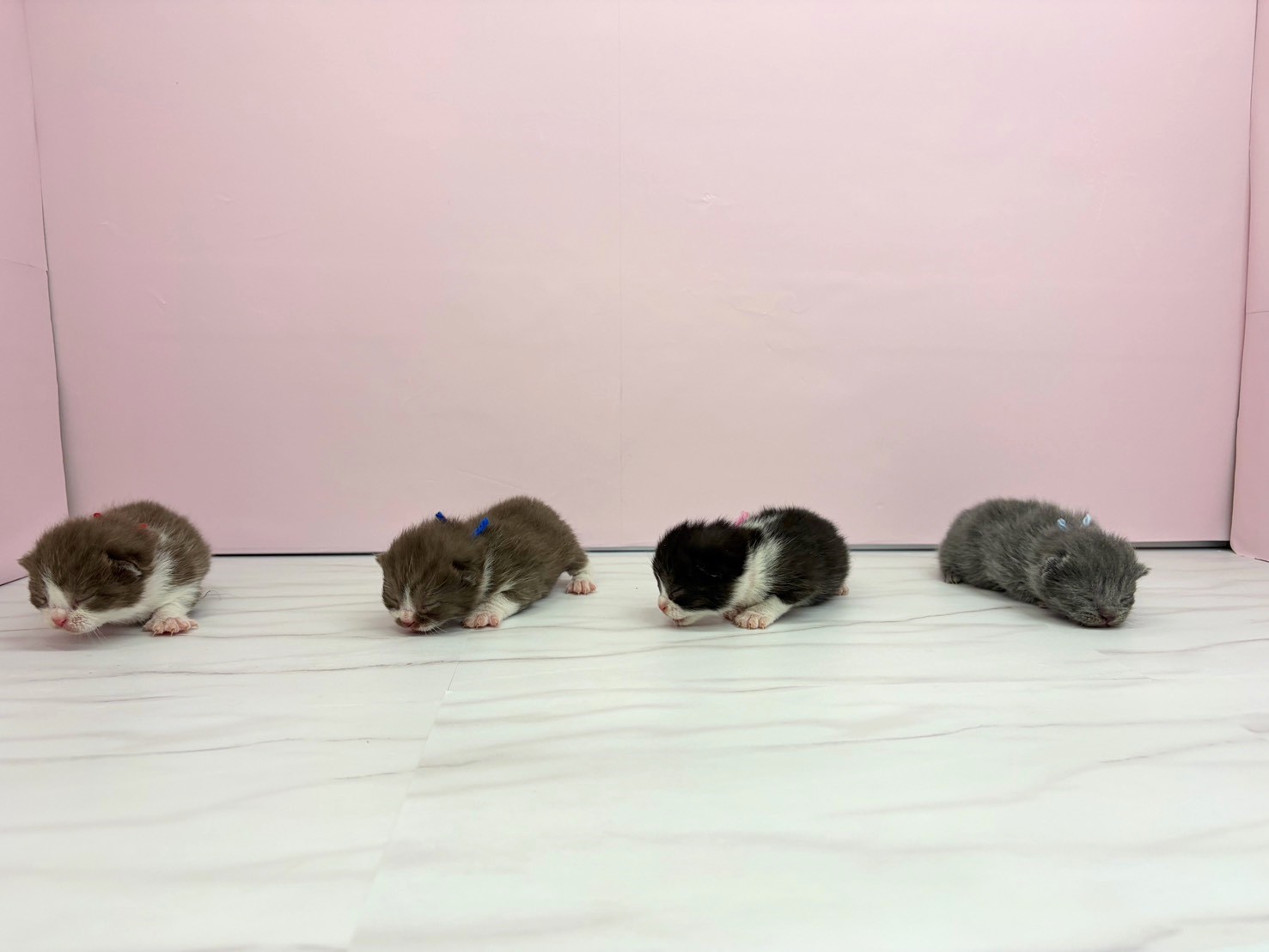 赤ちゃん写真1-3
