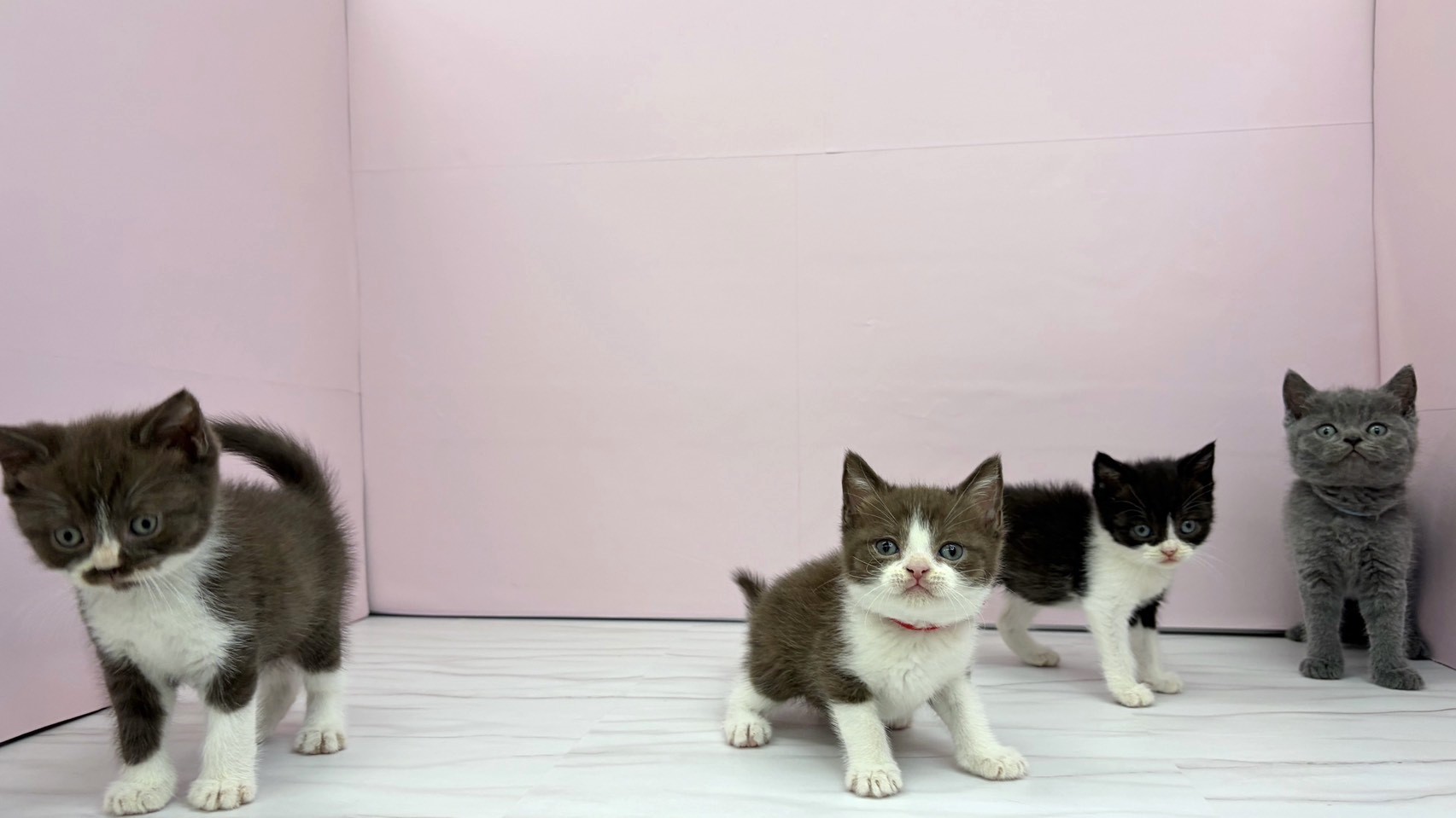赤ちゃん写真2-3
