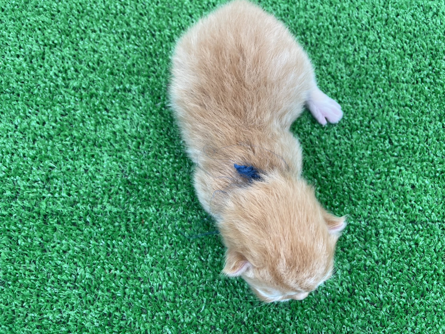 赤ちゃん写真1-3