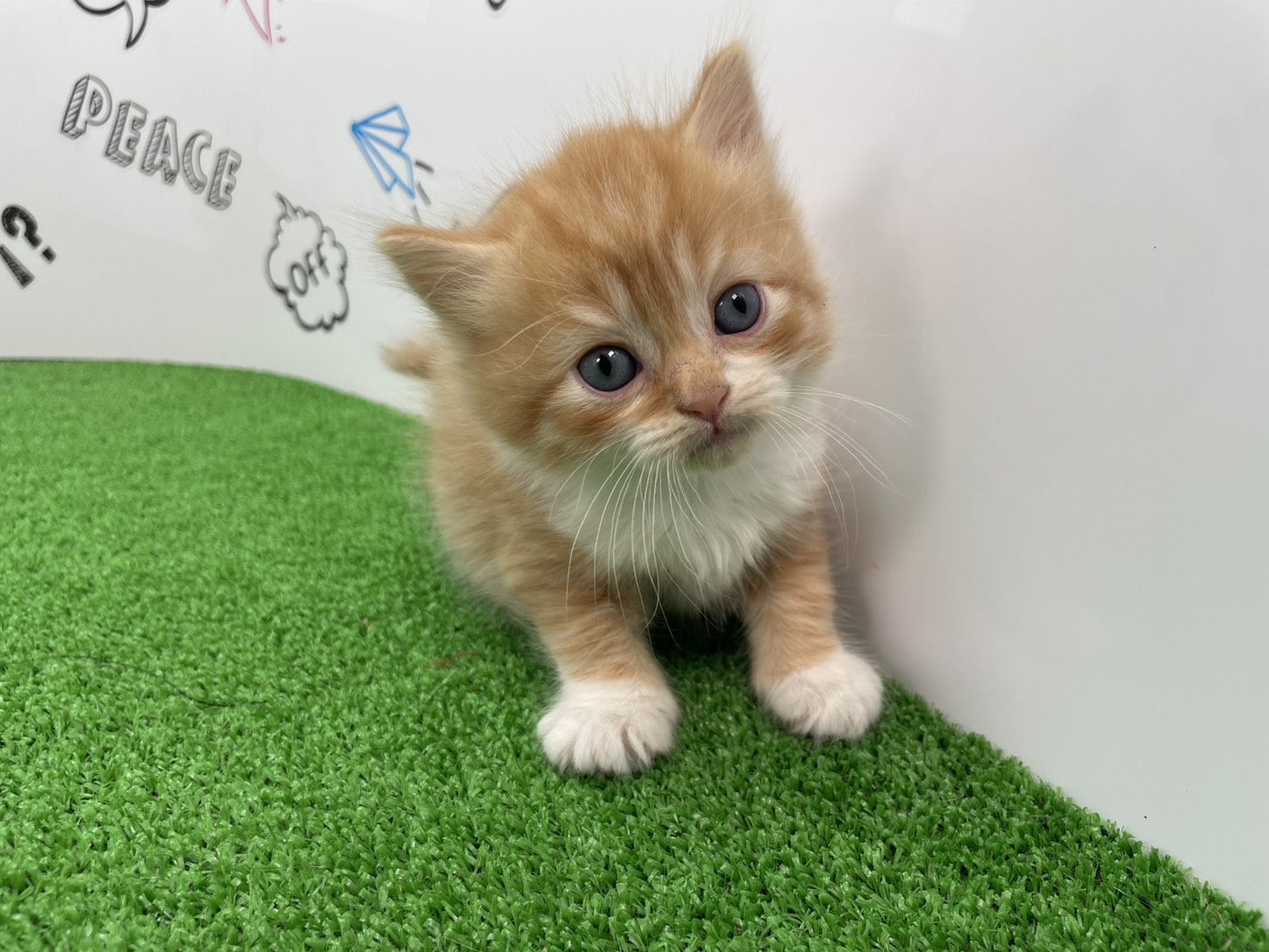 赤ちゃん写真2-1