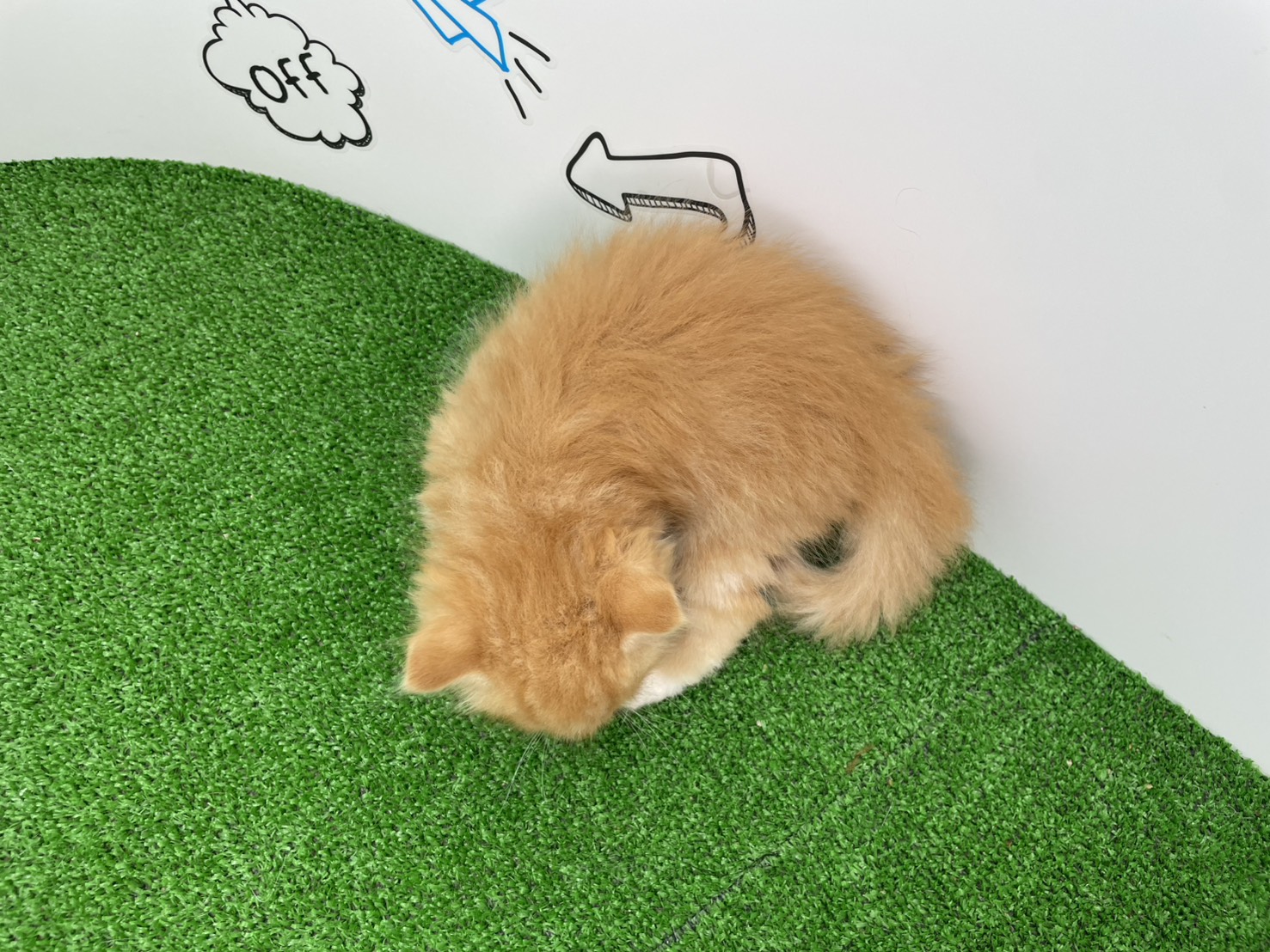 赤ちゃん写真2-3