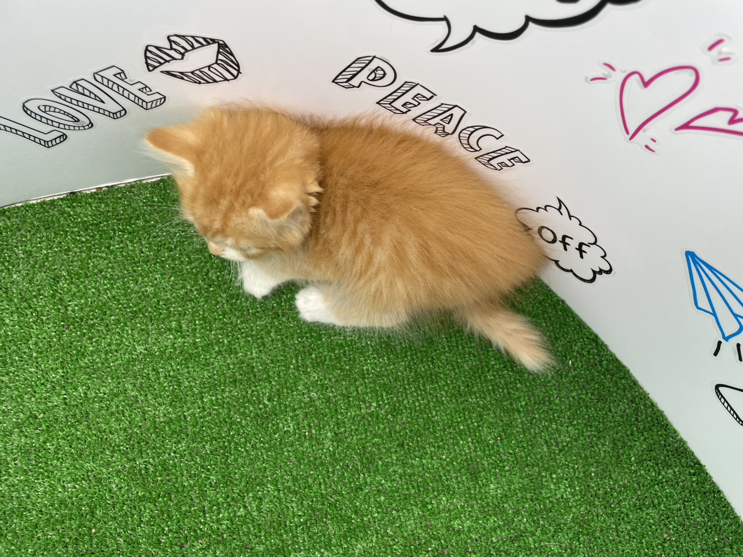 赤ちゃん写真3-3