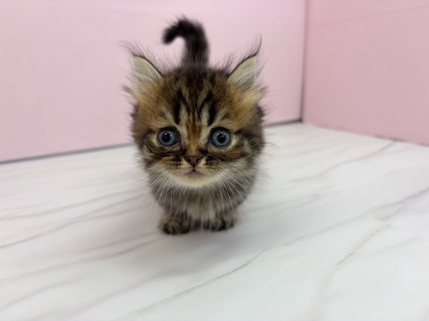 赤ちゃん写真2-1