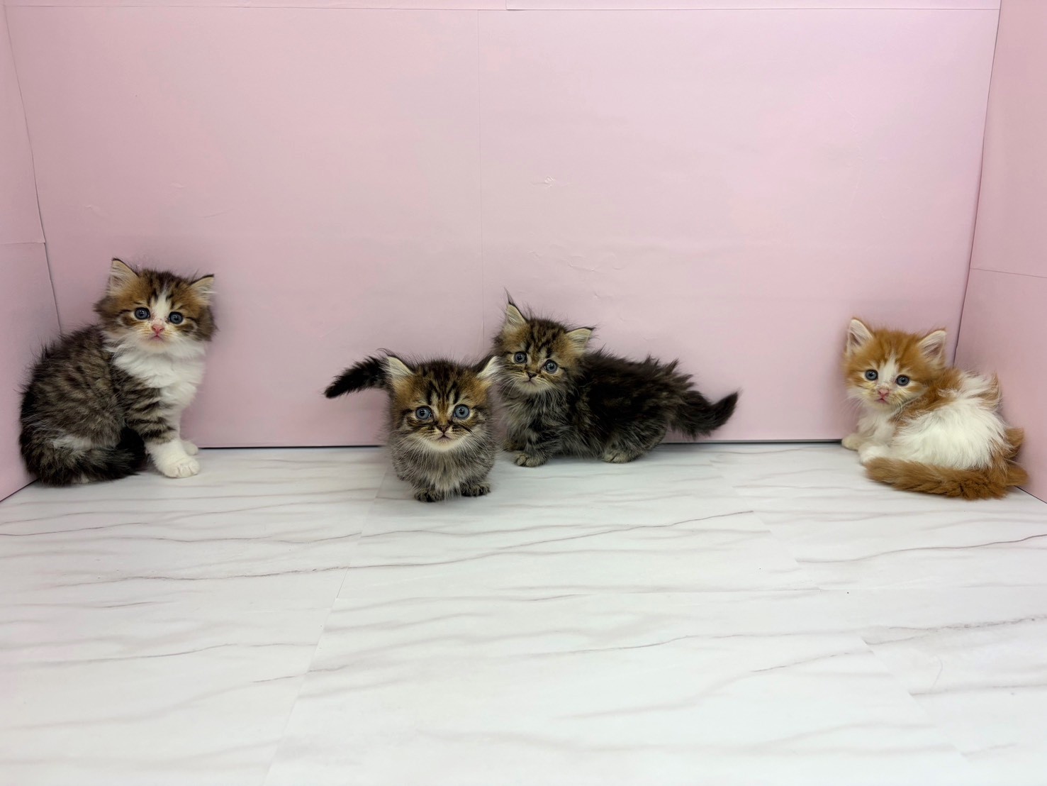 赤ちゃん写真2-3