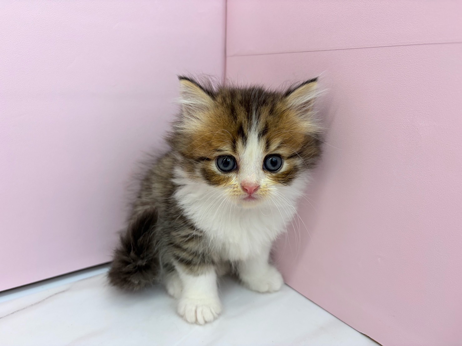 赤ちゃん写真2-1