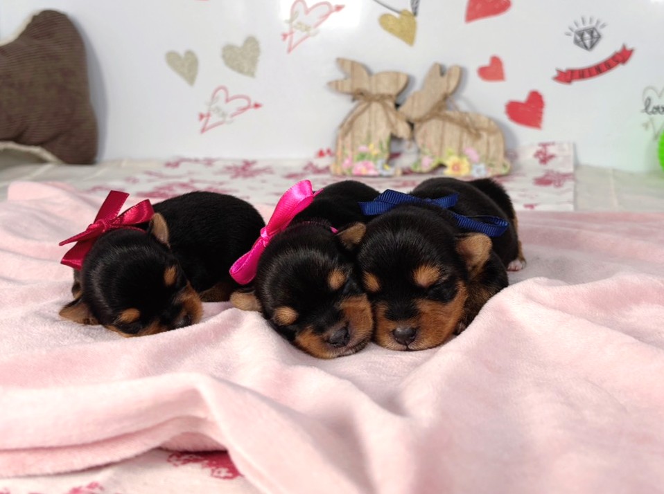 赤ちゃん写真1-3