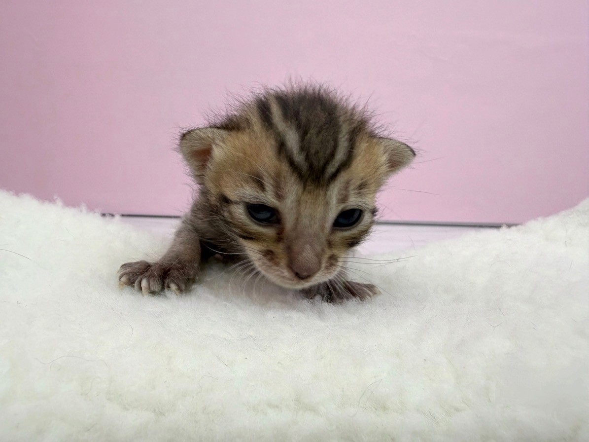 赤ちゃん写真1-1