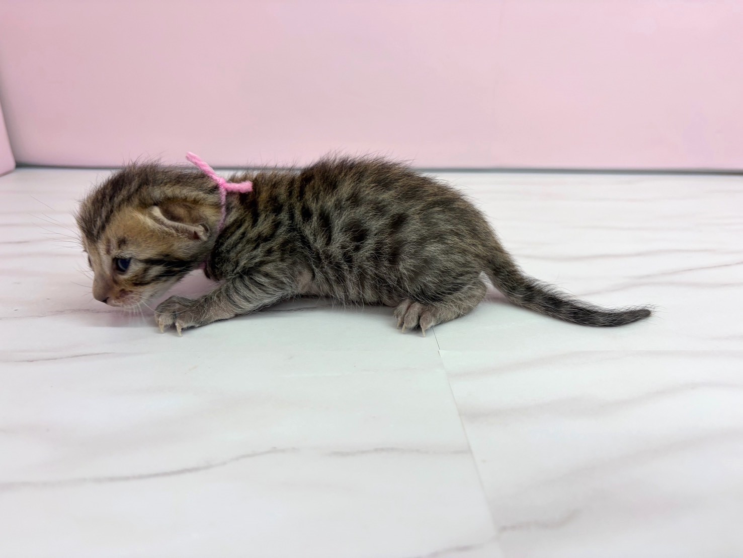 赤ちゃん写真1-2