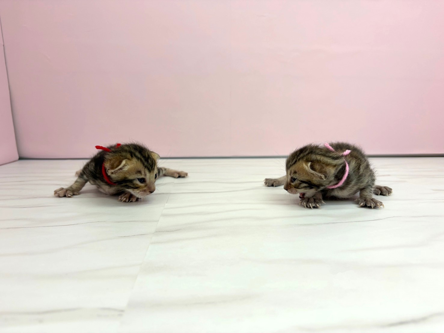 赤ちゃん写真1-3