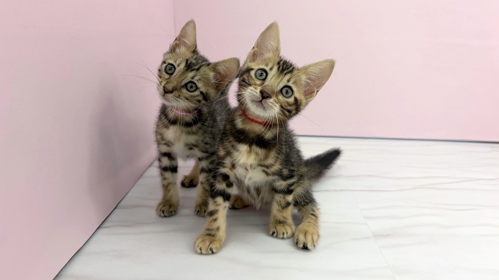 赤ちゃん写真2-3