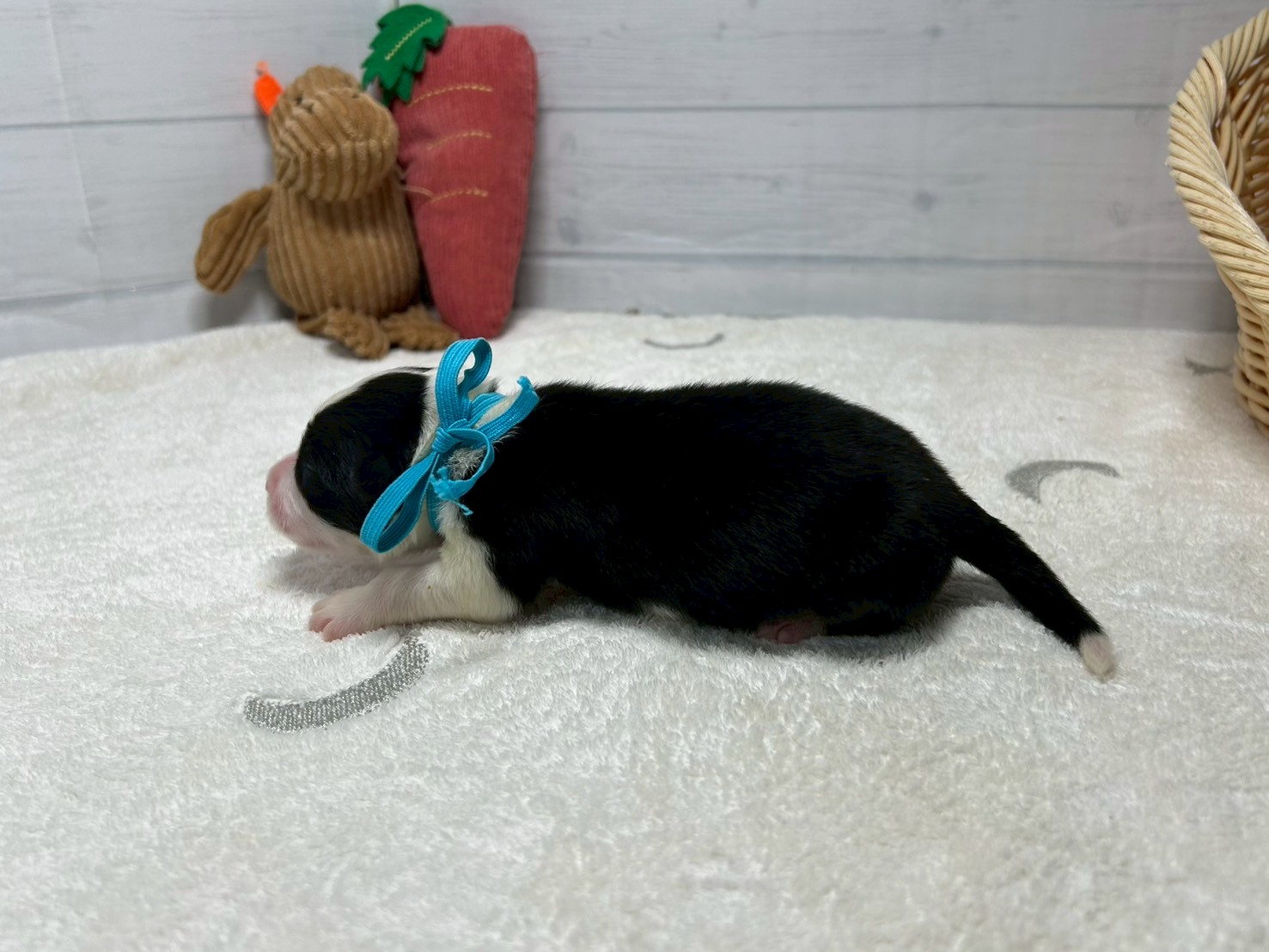 赤ちゃん写真1-2