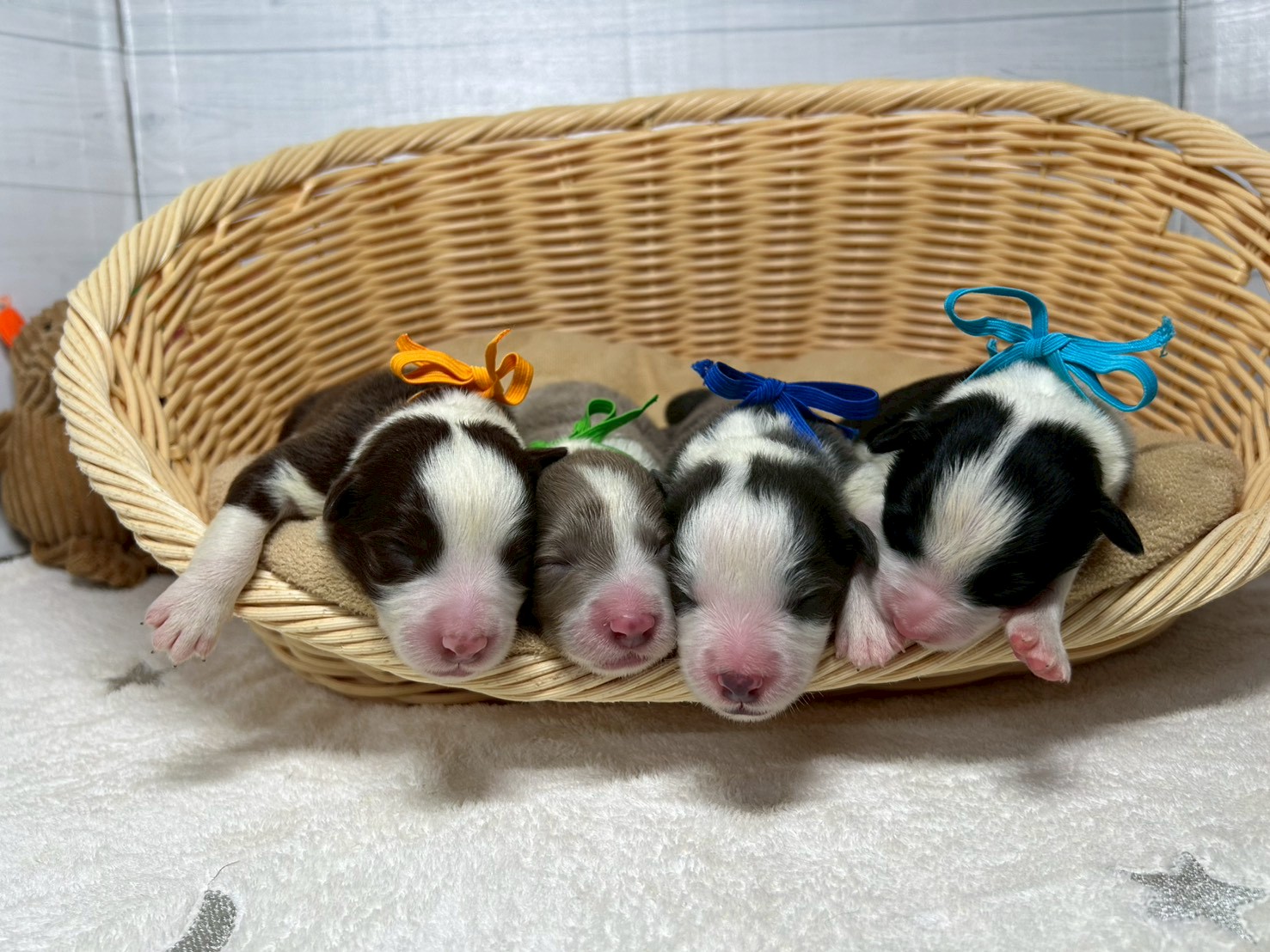 赤ちゃん写真1-3