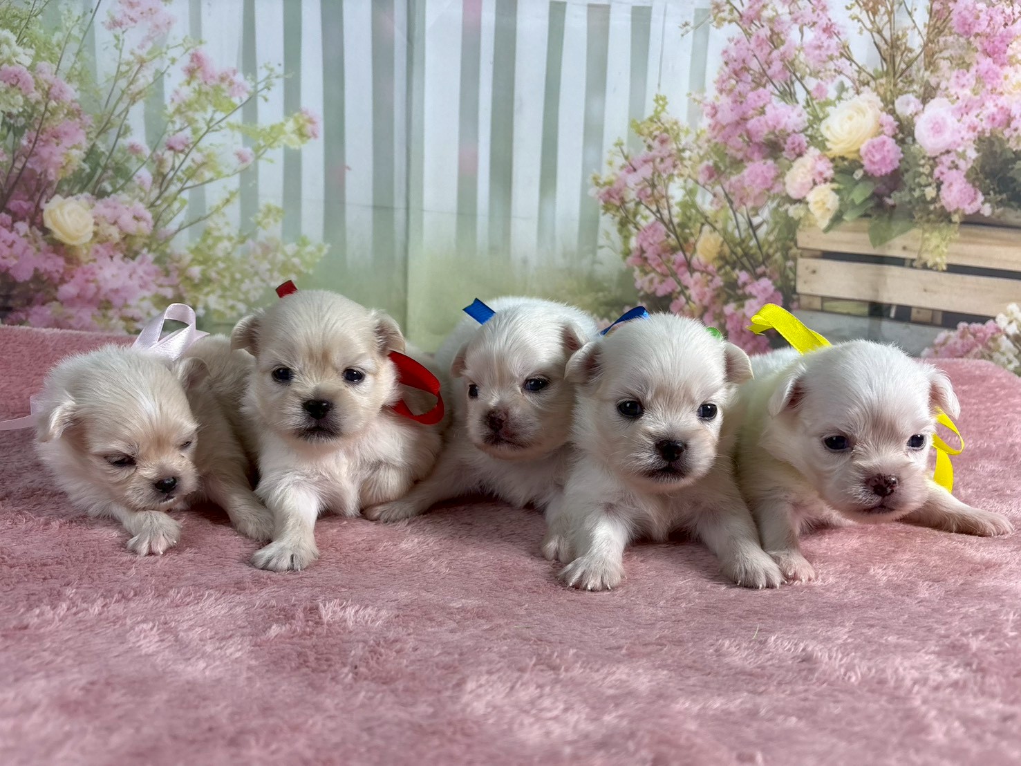 赤ちゃん写真1-3