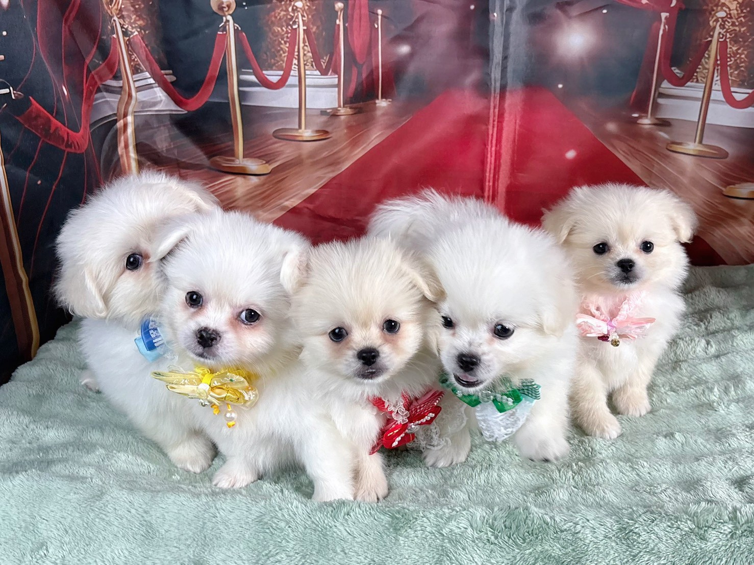 赤ちゃん写真2-3