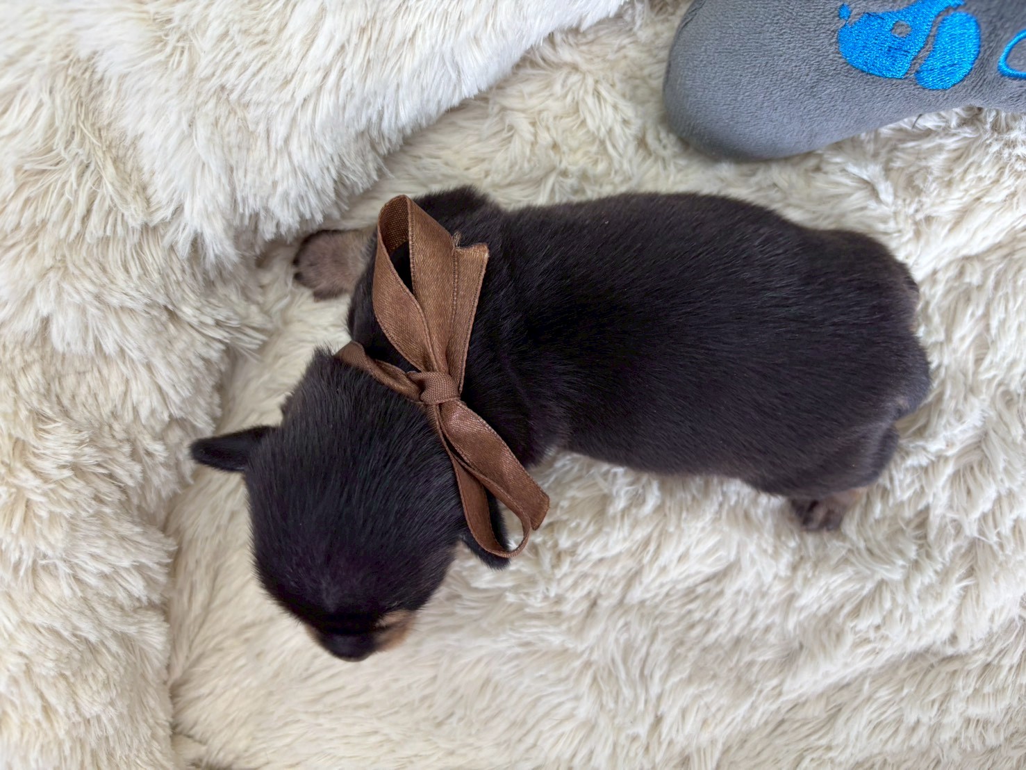 赤ちゃん写真1-3