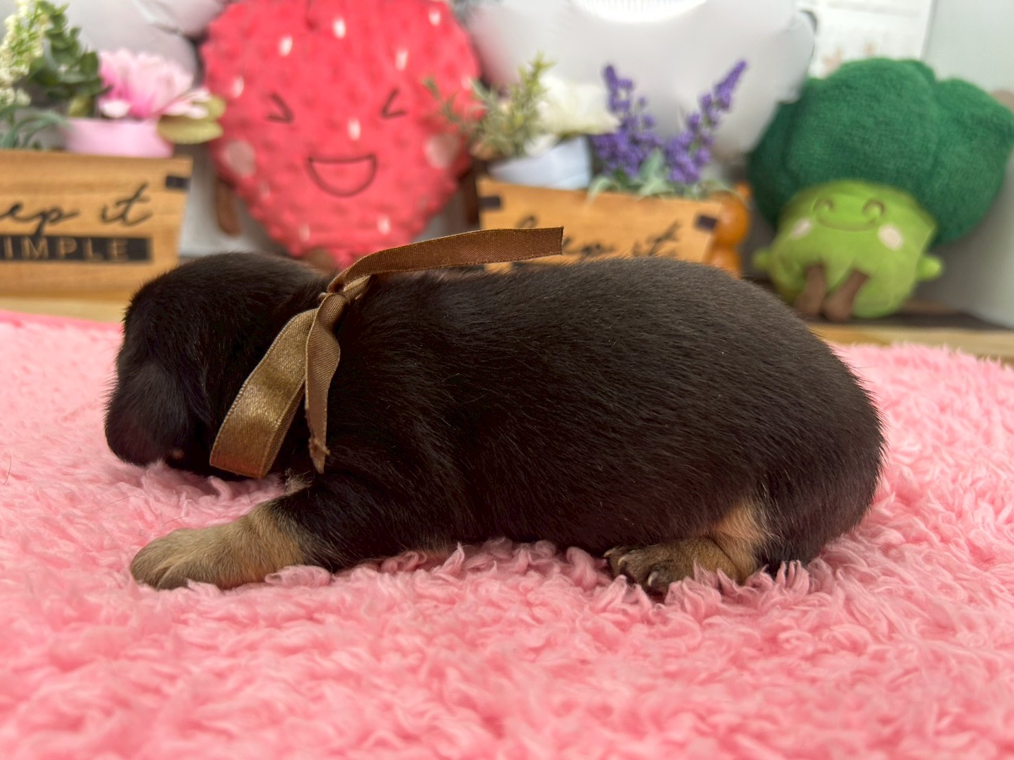 赤ちゃん写真2-2