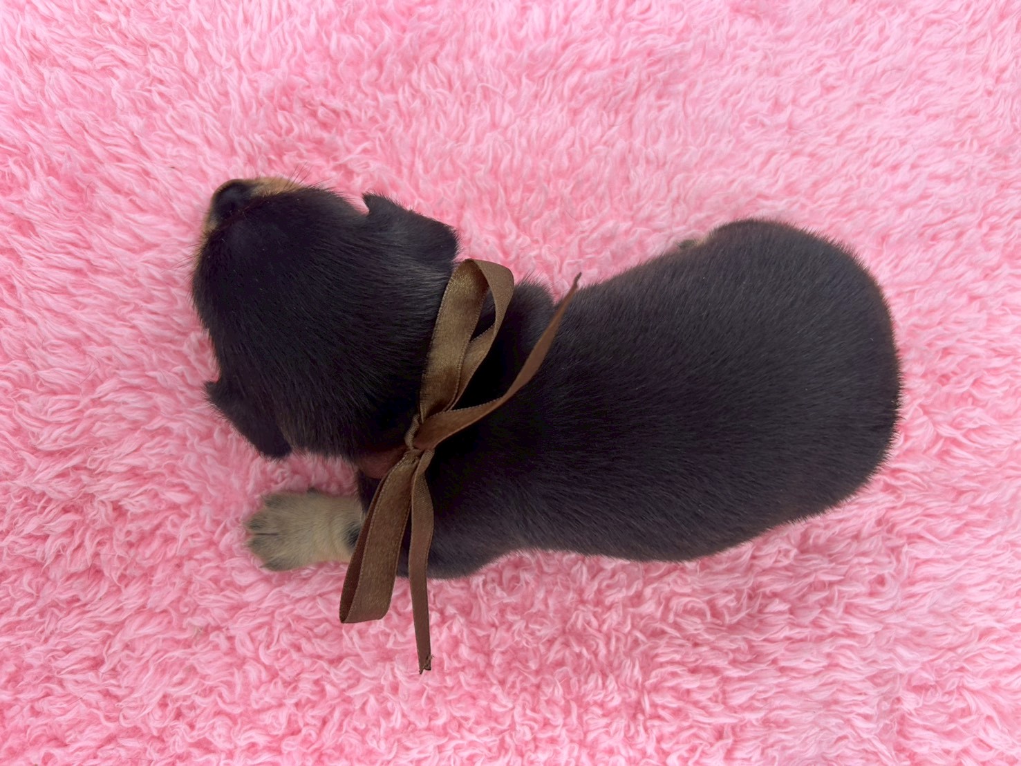 赤ちゃん写真2-3