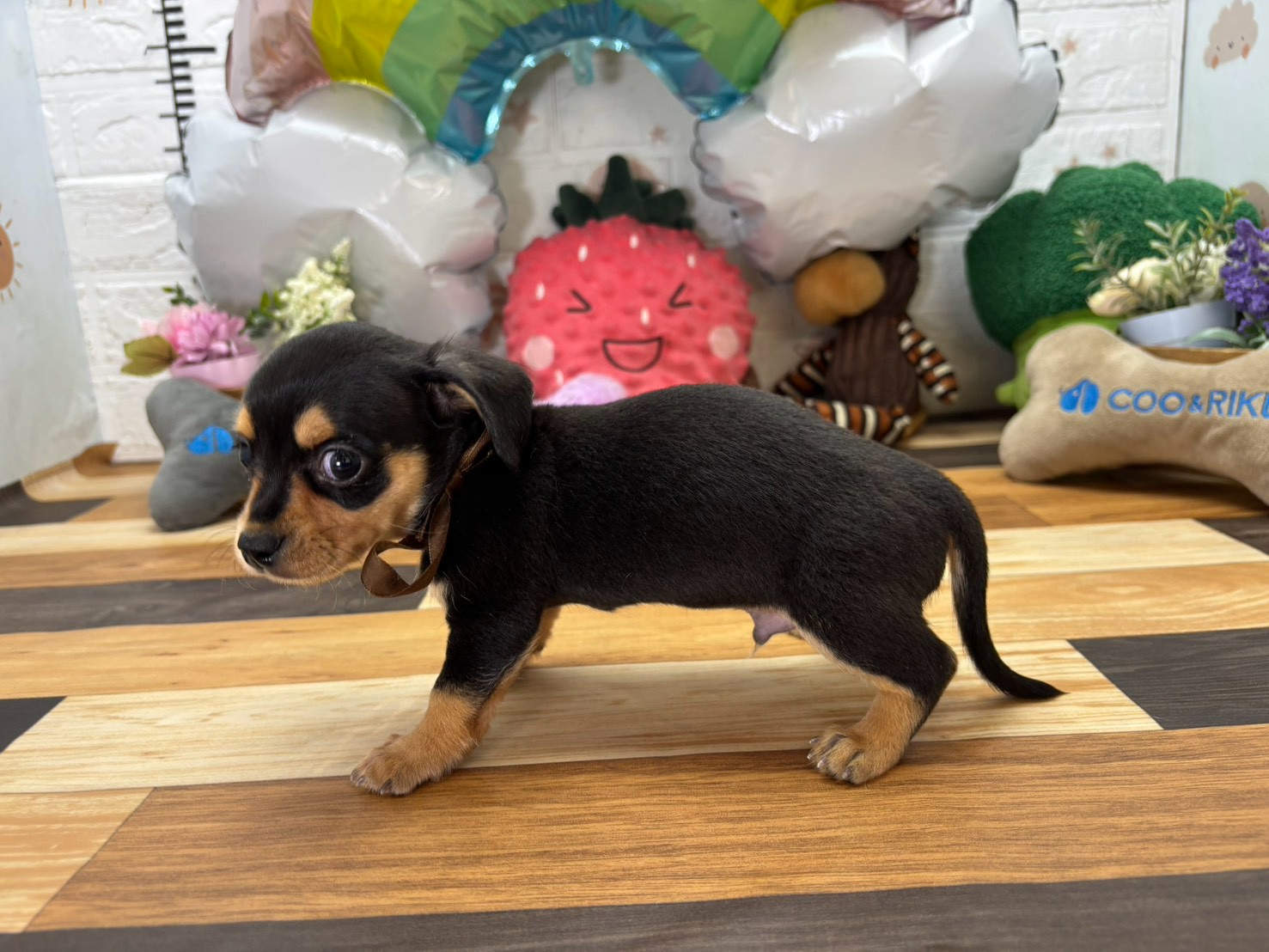 赤ちゃん写真3-2