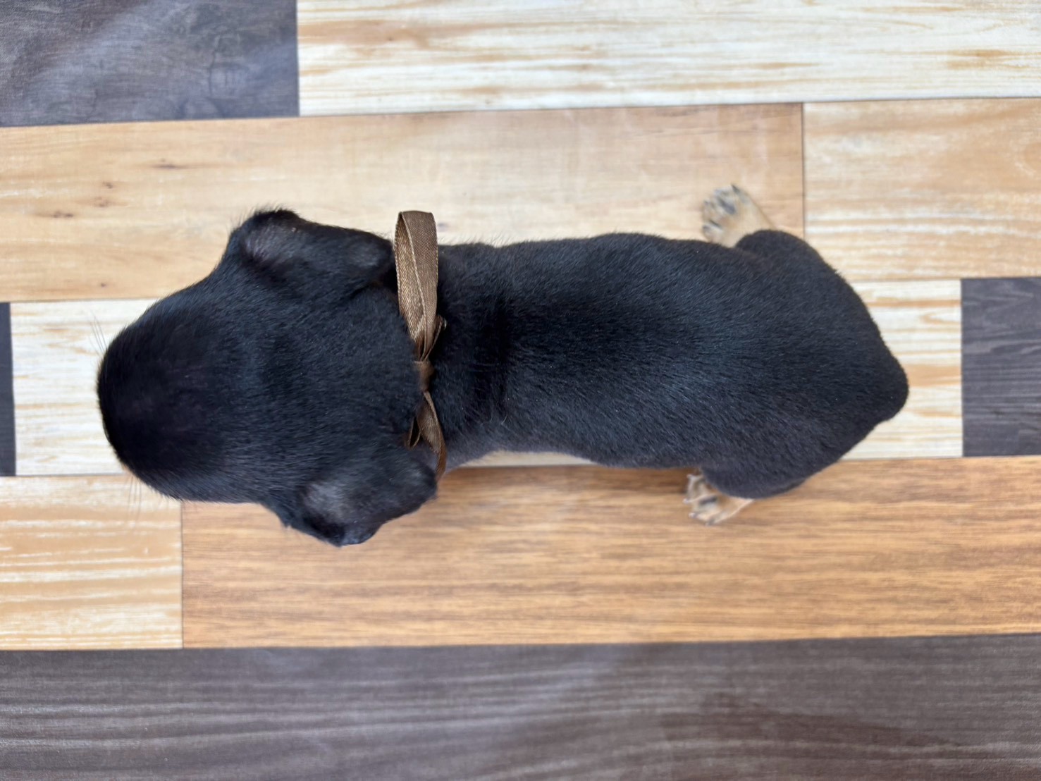 赤ちゃん写真3-3
