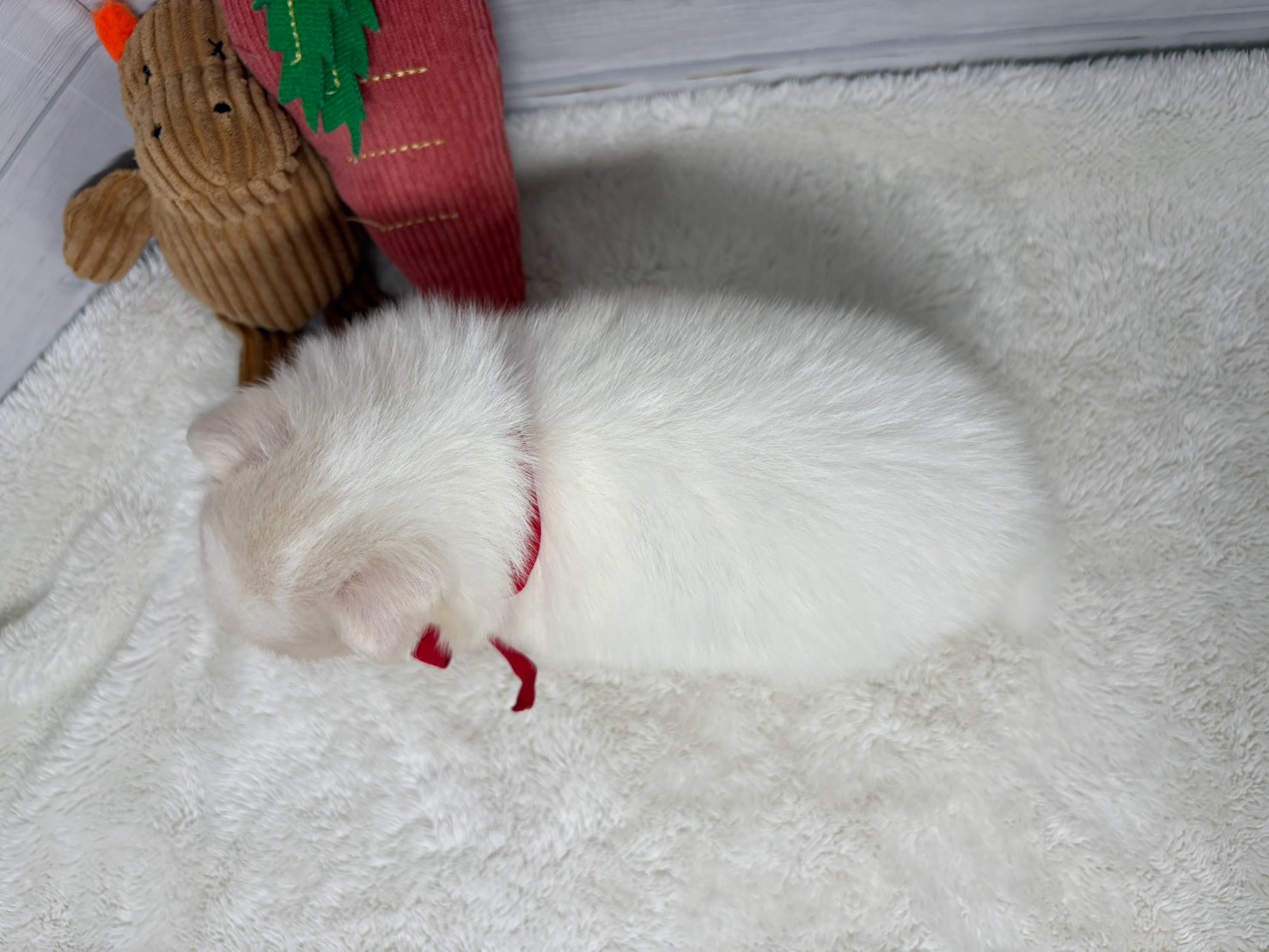 赤ちゃん写真2-3