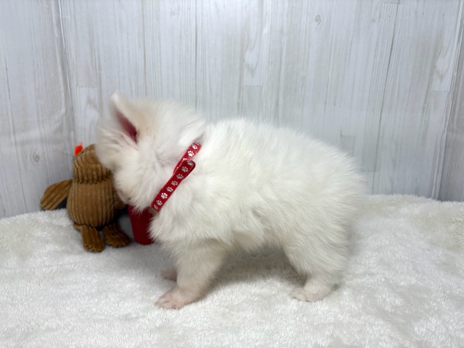 赤ちゃん写真3-2