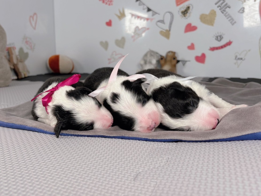 赤ちゃん写真1-3