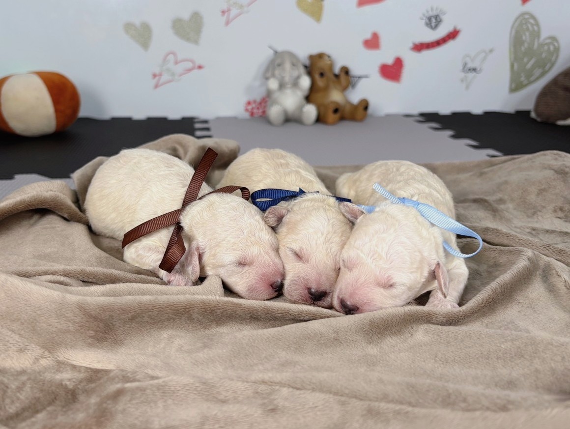 赤ちゃん写真1-3
