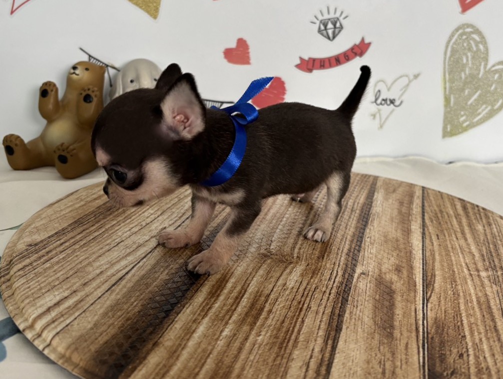 赤ちゃん写真2-2