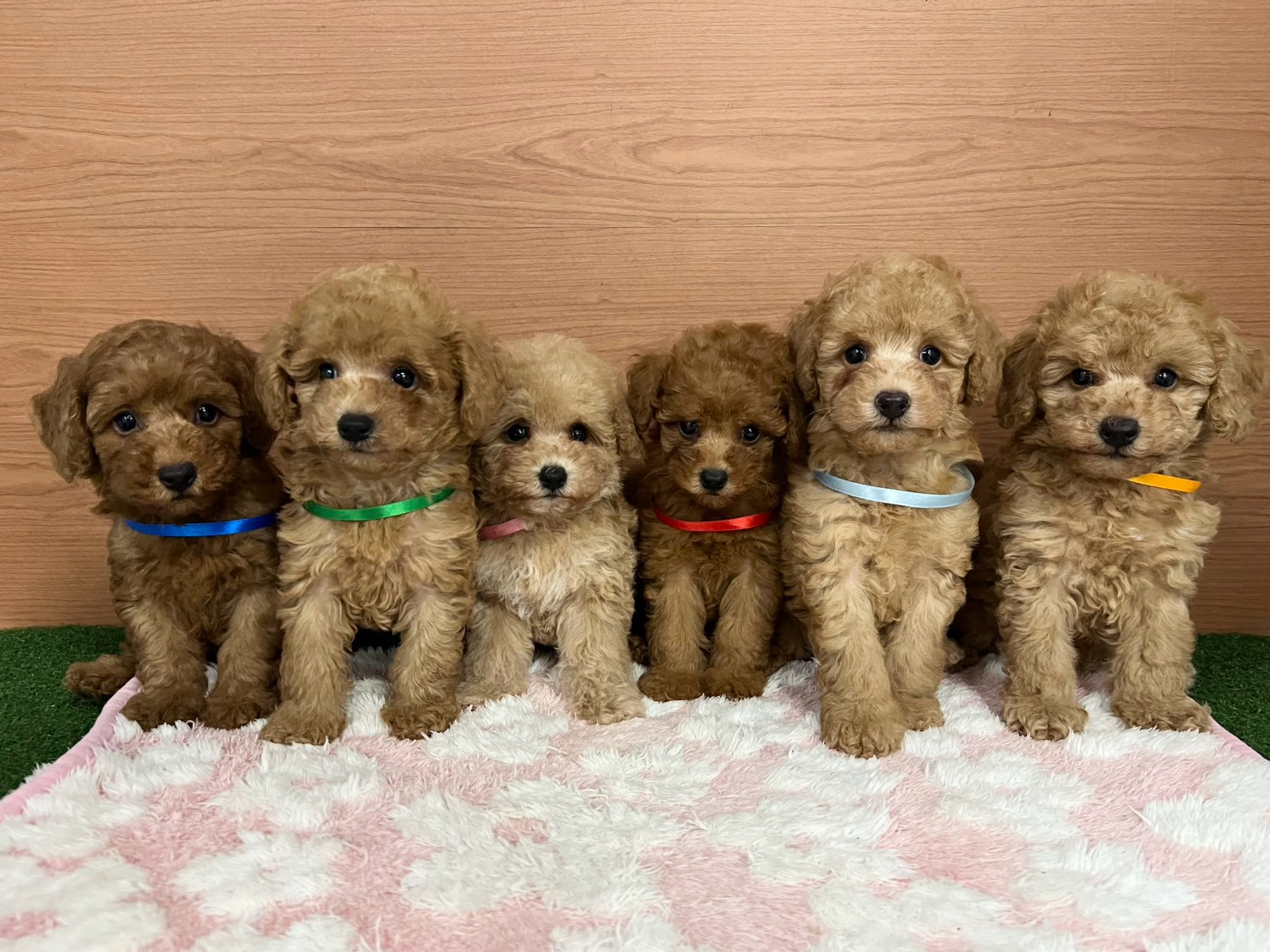 赤ちゃん写真3-3