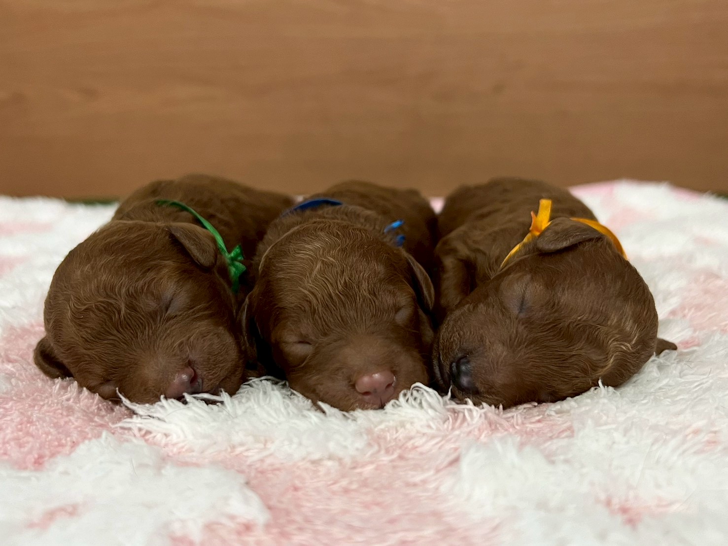 赤ちゃん写真1-3