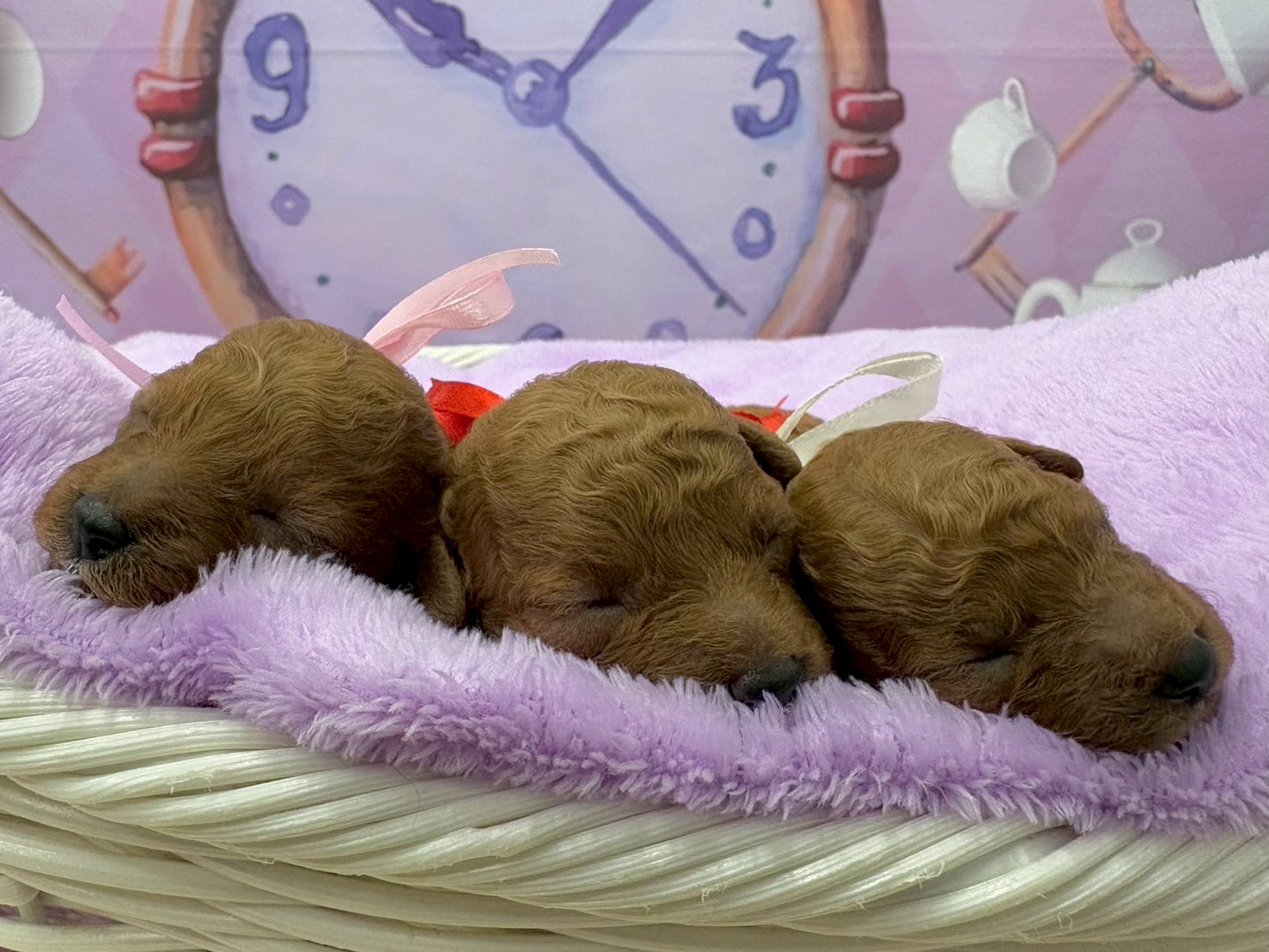 赤ちゃん写真1-3