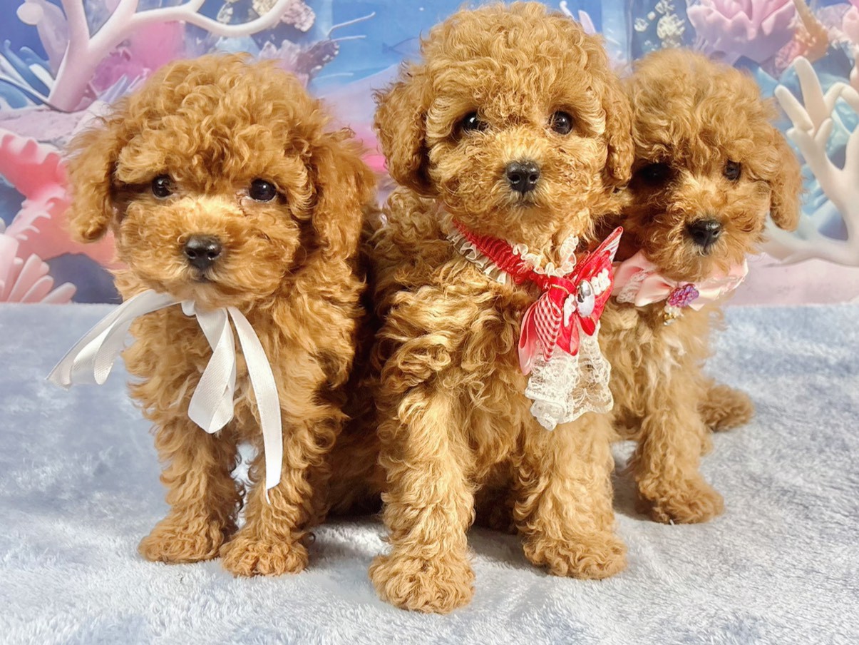 赤ちゃん写真3-3