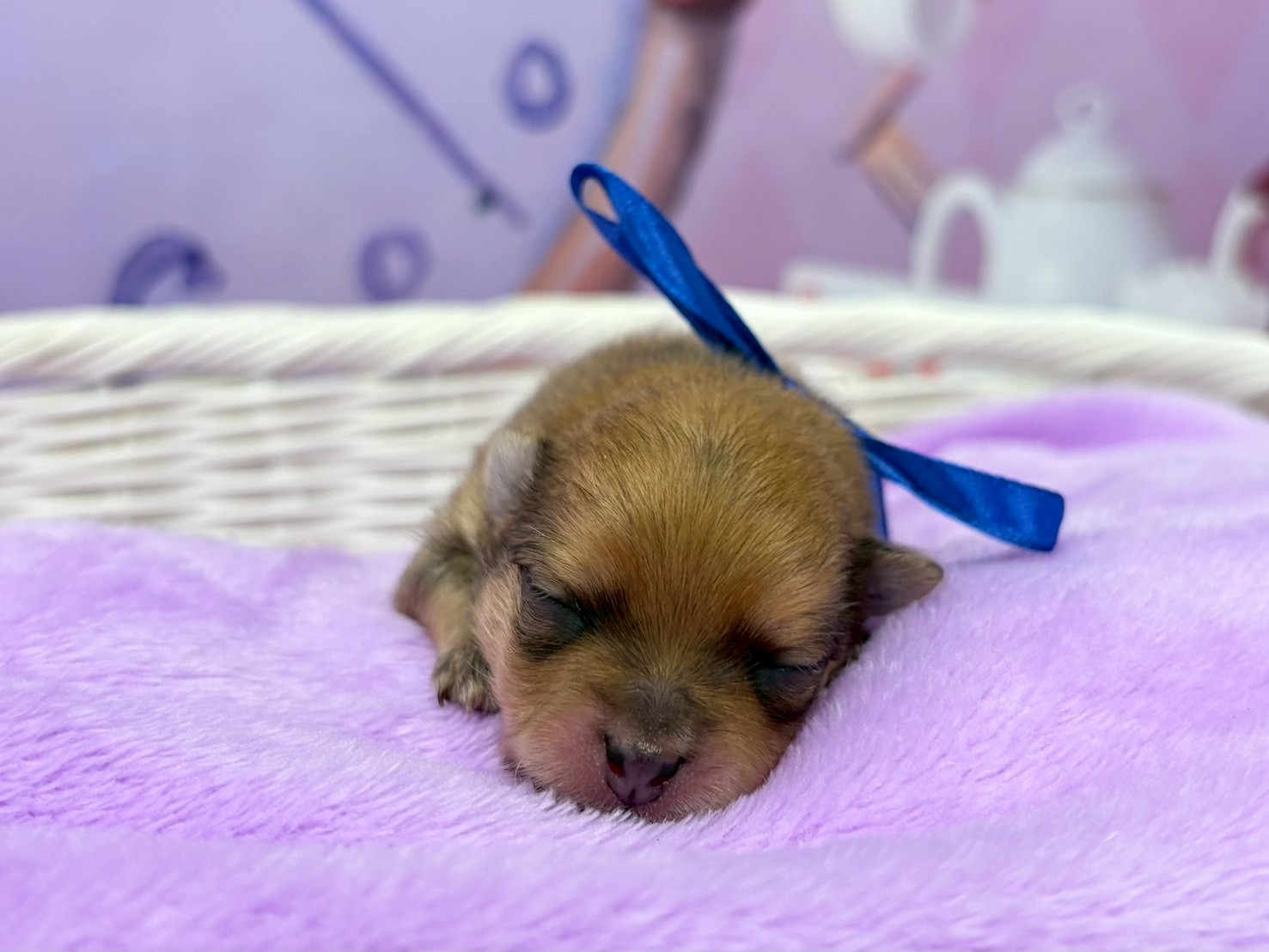 赤ちゃん写真1-1