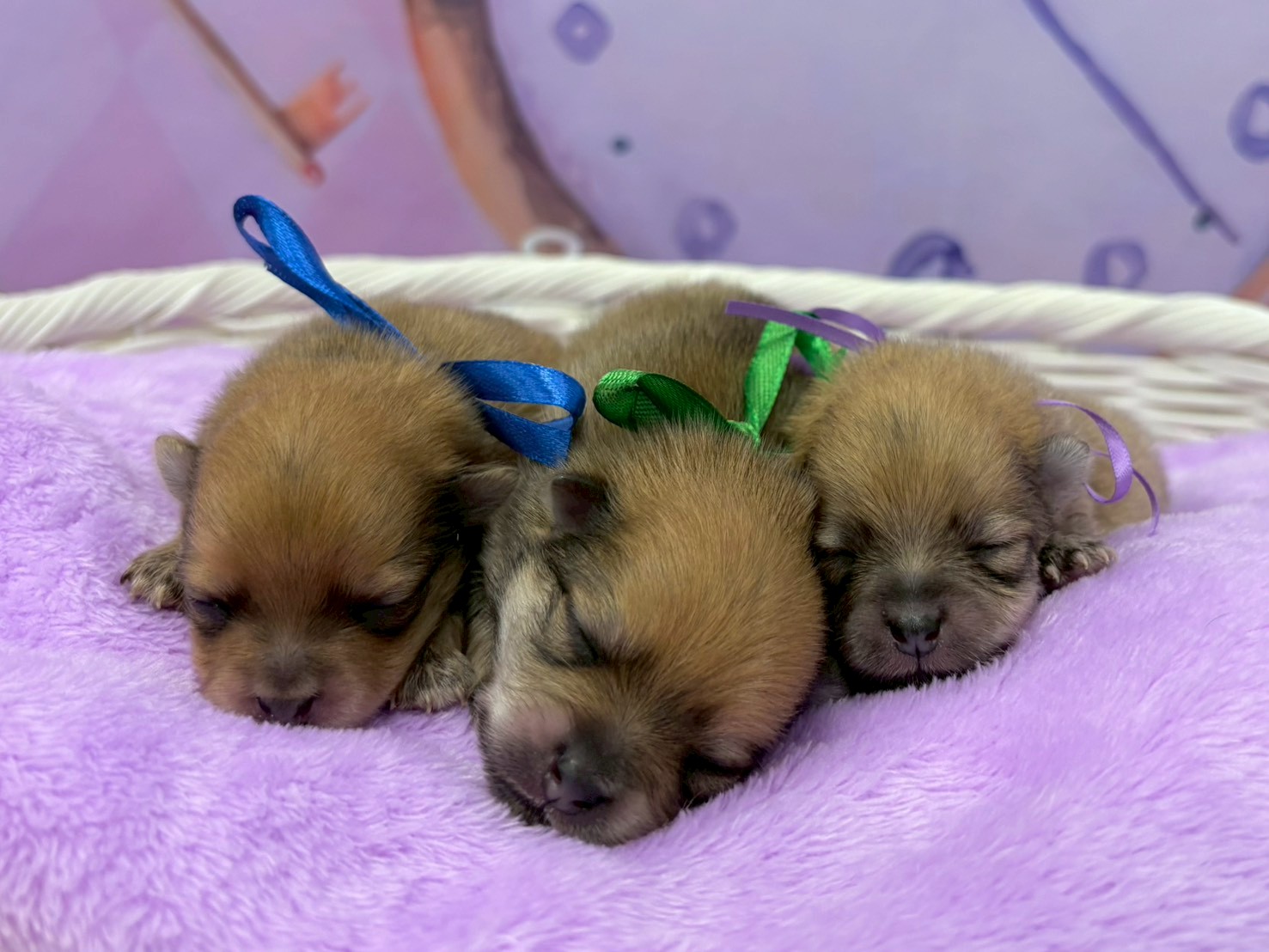 赤ちゃん写真1-3