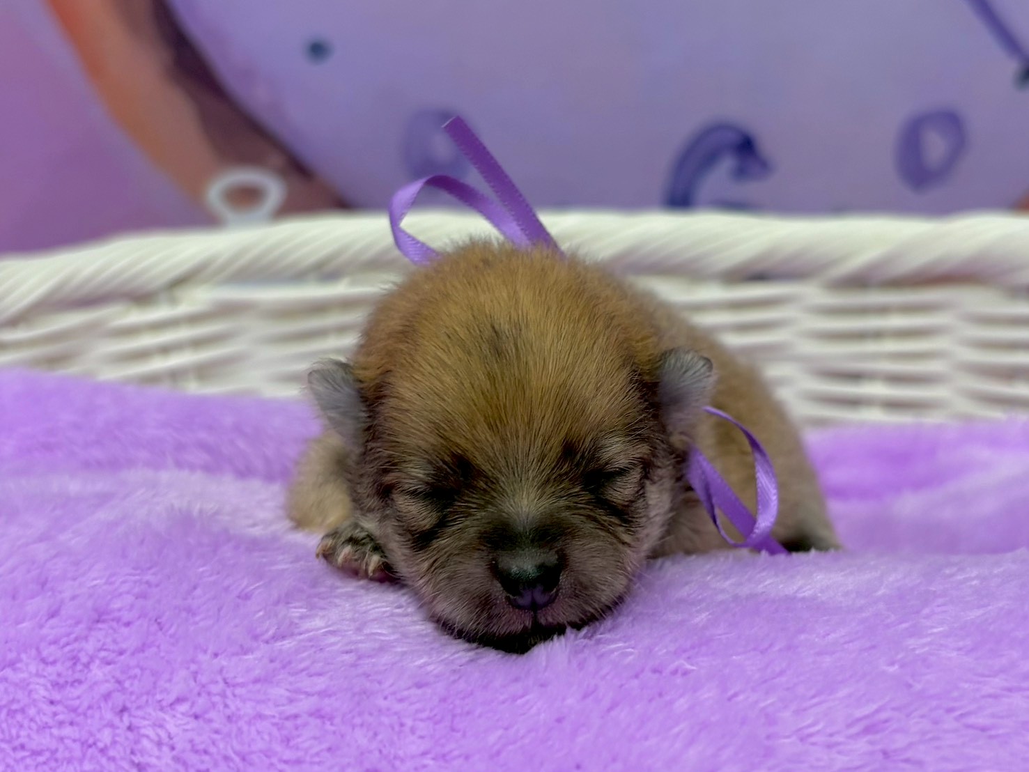 赤ちゃん写真1-1