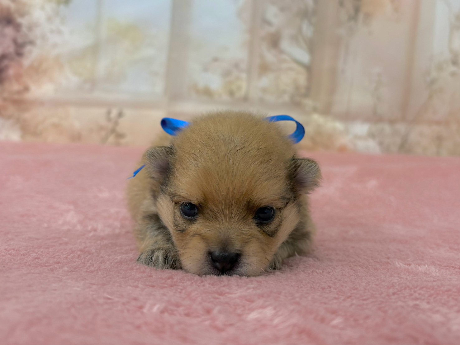赤ちゃん写真2-1