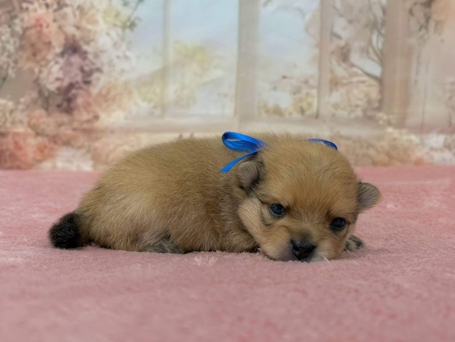 赤ちゃん写真2-2