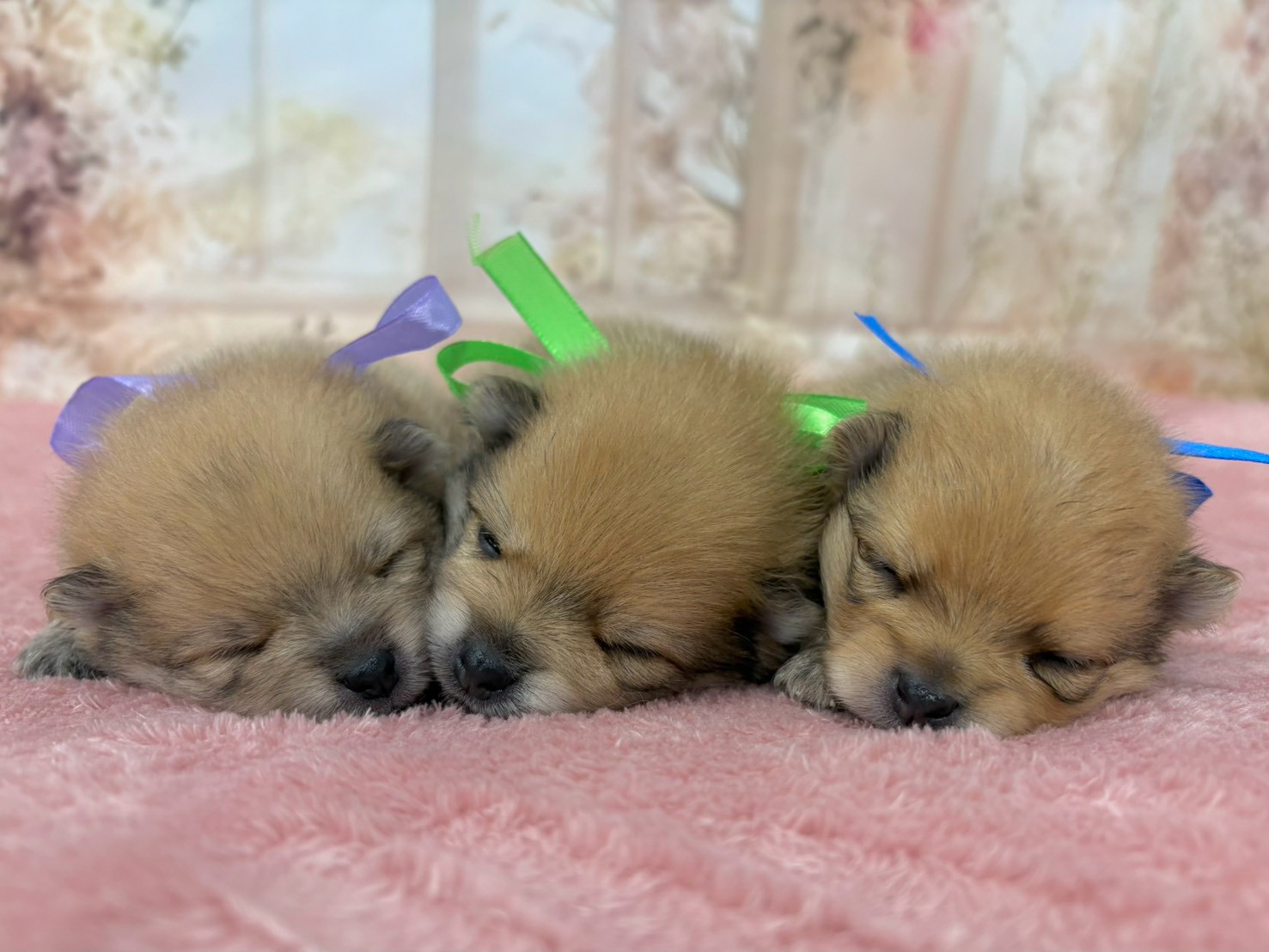 赤ちゃん写真2-3