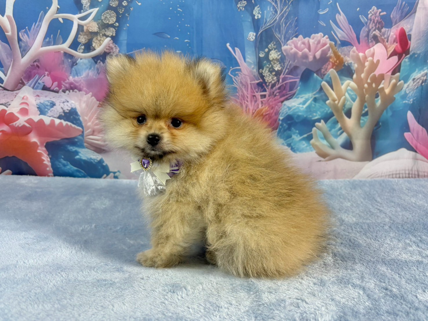 赤ちゃん写真3-2