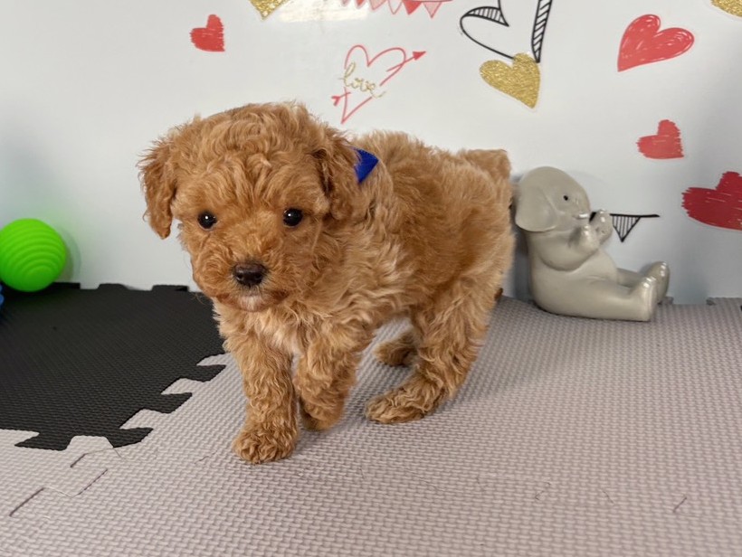 赤ちゃん写真2-2