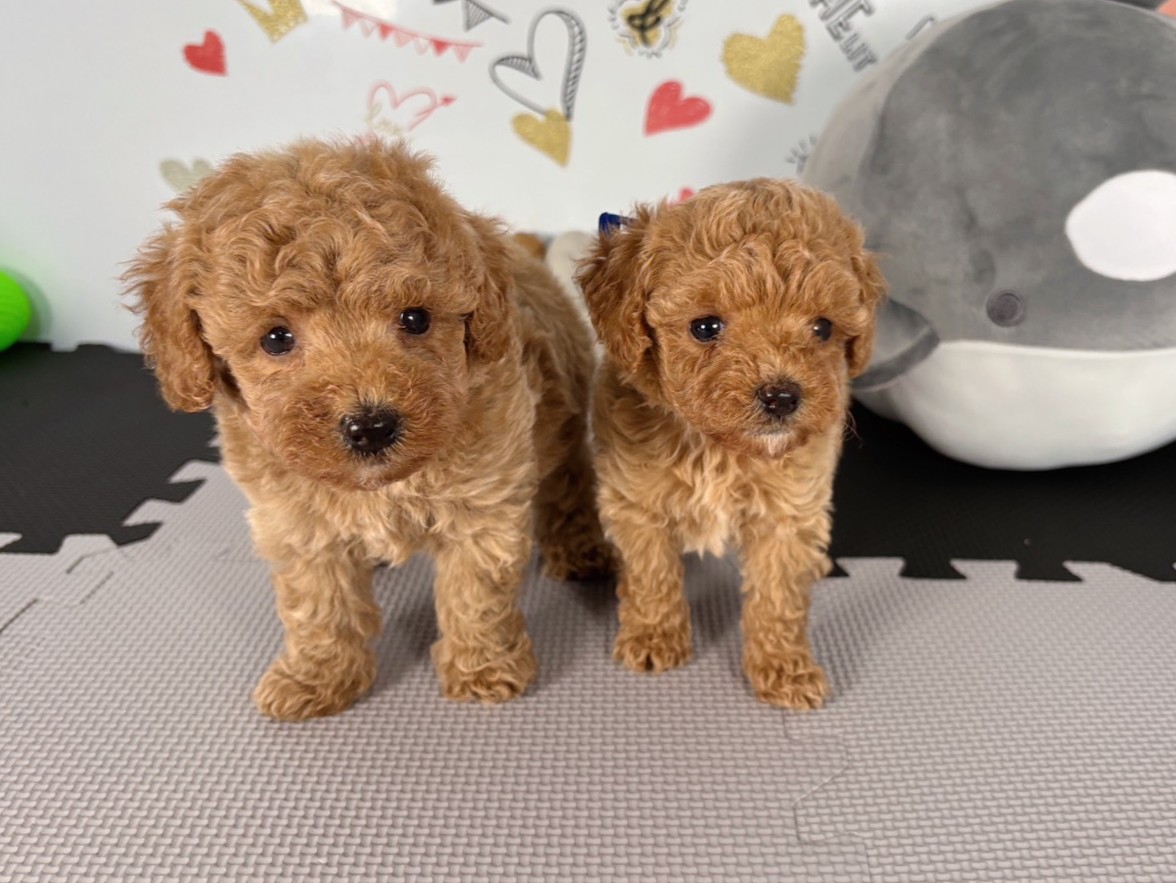 赤ちゃん写真2-3