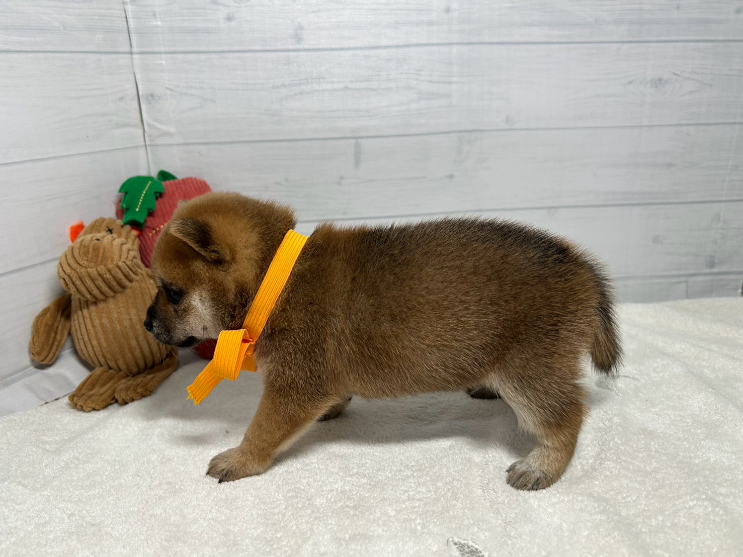 赤ちゃん写真2-2