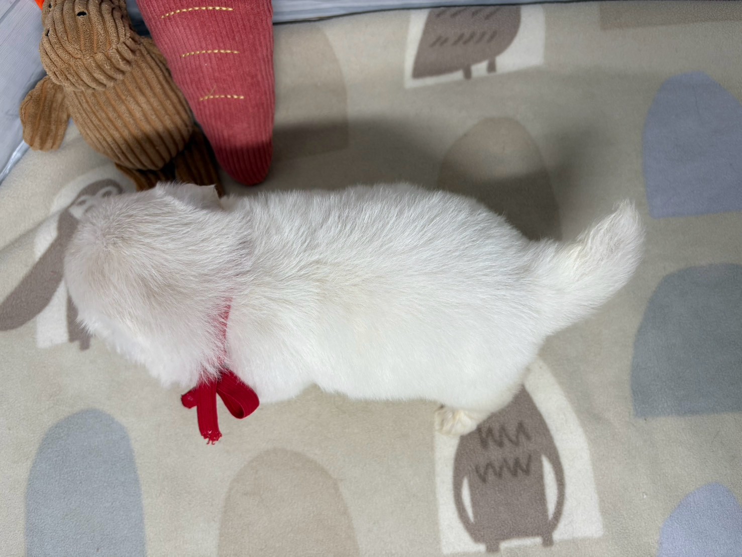 赤ちゃん写真2-3