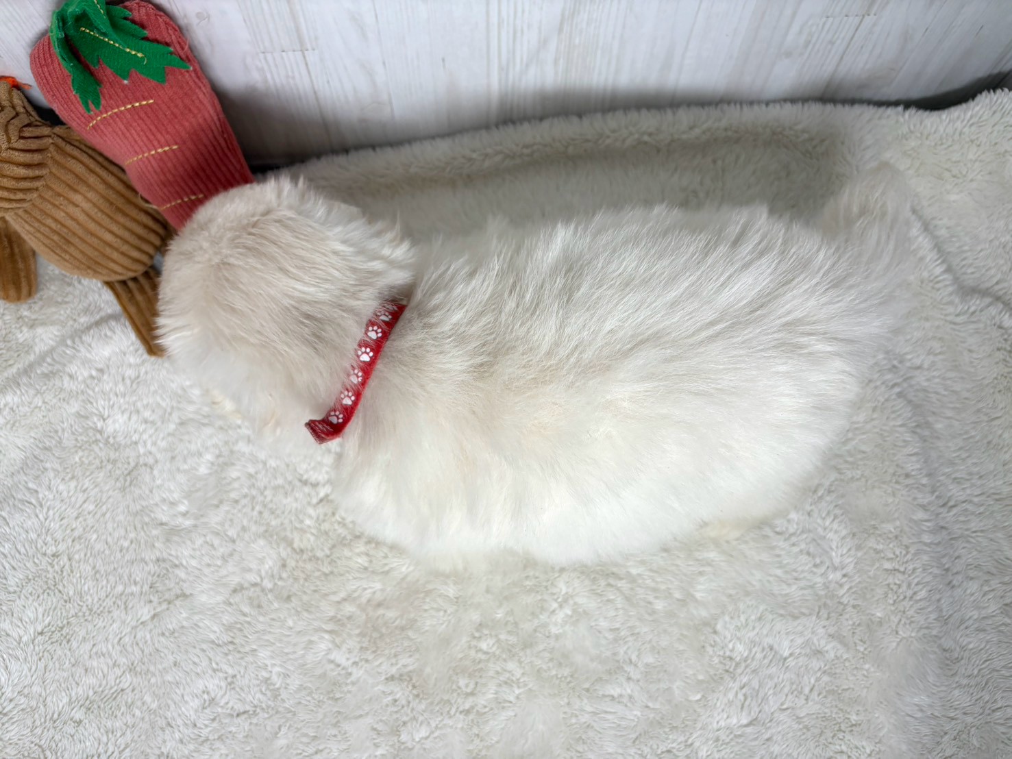 赤ちゃん写真3-3
