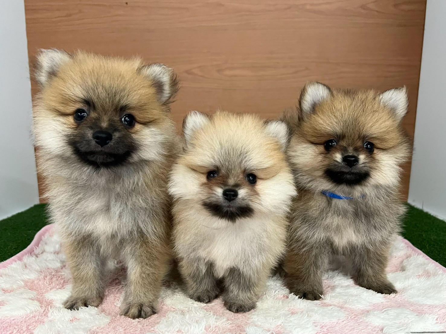 赤ちゃん写真3-3