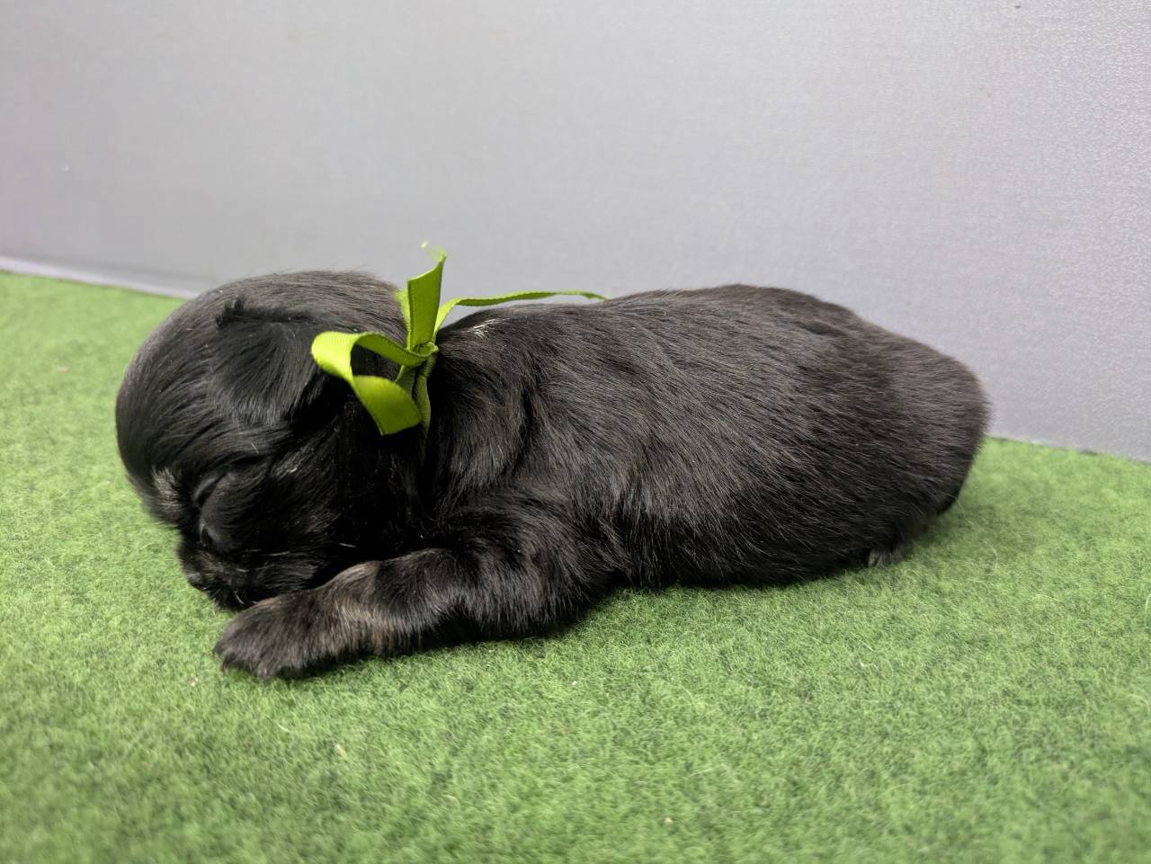 赤ちゃん写真2-2